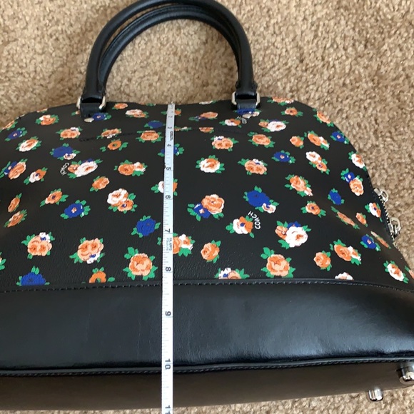 Coach - Picture 6 of 9